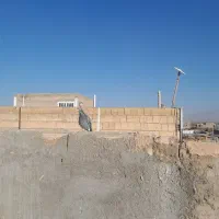 کبوتر|پرنده|نیشابور, فضل|دیوار