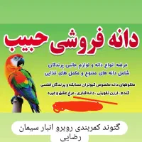 انواع دانه پرنده