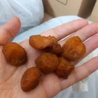 آلو آفتابی