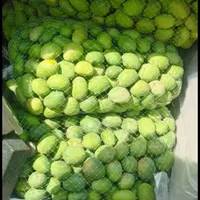 انبه بدون هسته،سپستان،میناب ورودان،ترشی انبه دریزد