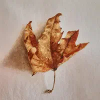 نقاشی-خوشنویسی-کامپیوتر- موسیقی- سفال
