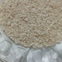 ۵۰ کیلو دخل برنج