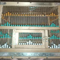 قفس پرنده|لوازم جانبی حیوانات|فردیس, فردیس|دیوار