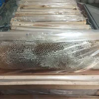 عسل طبیعی|خوردنی و آشامیدنی|کرج, برغان|دیوار