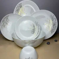 ۲۶پارچه دینو ارکوپال ۶نفره مقصود