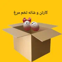 کارتن و شانه تخم مرغ
