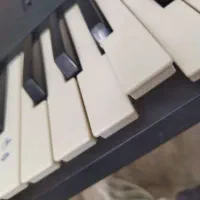 ارگ|پیانو، کیبورد، آکاردئون|گلبهار, شهر جدید گلبهار|دیوار