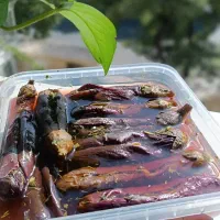 ترشیجات خانگی ترشین