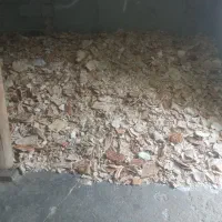 نان خشک تمیز وخشک