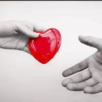 فروش بازدید،ممبر واقعی،لایک،ری اکشن روبیکا ارزان