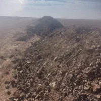 کود دامی خشک|گل و گیاه طبیعی|سردرود, |دیوار