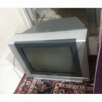 تلوزیون