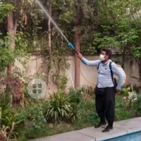 سمپاشی وباغبانی بامهرفاکتور شرکت درسراسرتهران|خدمات باغبانی و درختکاری|تهران, ونک|دیوار