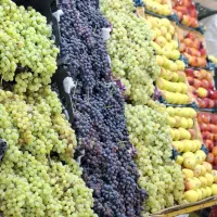 نیرو جهت همکاری  درمیوه فروشی