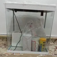 اکواریوم شرکتی شیشه خم