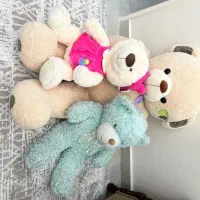 خرس ولنتاین