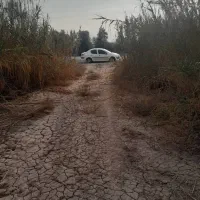 باغ زیتون، جمال آباد، ۳۶۰۰ متری|فروش زمین و ملک کلنگی|لوشان, |دیوار