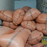 کاه زابل در زهک