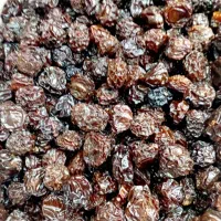 استخدام بازاریاب حرفه‌ای با برندهای معتبر|استخدام بازاریابی و فروش|رشت, جانبازان|دیوار