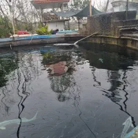 نیازمند کارگر برای مزرعه پرورش ماهی