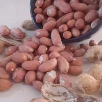 فروش بادام زمینی|خوردنی و آشامیدنی|تهران, امیر بهادر|دیوار