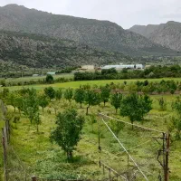 زمین زراعی به متراژ 1800متر مربع