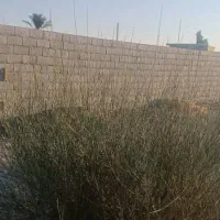 فروش زمین یا معاوضه خودرو