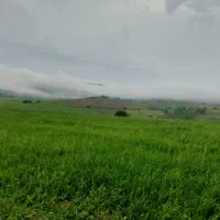 زمین مسکونی، کشاورزی،باغی،روستای آسیابر|فروش زمین و ملک کلنگی|دیلمان, |دیوار