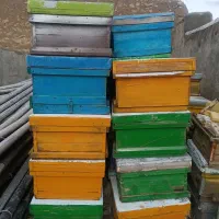 فروش کندو و طبق