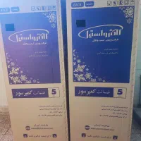 کارتون یخجالی