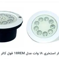 دفنی استخر و حیاط