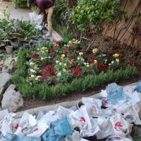 خدمات کاشت و باغبانی|خدمات باغبانی و درختکاری|اصفهان, پروین|دیوار