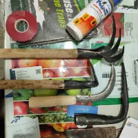 فروش تخصصی انواع بذر سبزیجات و صیفیجات و گل|گل و گیاه طبیعی|بابل, |دیوار