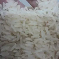 برنج طارم هاشمی درجه یک