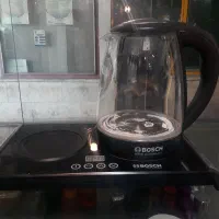 چایساز بوش سالم