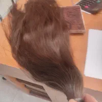 موی بور روشن  به بالاترین پیشنهاد فروخته می‌شود