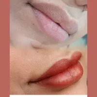 شیدلب فقط ۸۰۰ تومن|خدمات آرایشگری و زیبایی|رشت, کاکتوس|دیوار