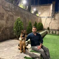 آموزش سگ،تربیت سگ،مربی سگ در منزل شما