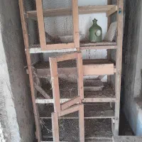 فروش جفتگاه کبوتر