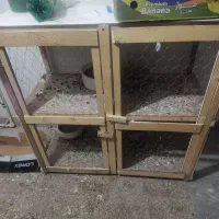 جفت کن (جفت خون)