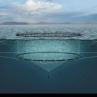 فروش ماهی قزل‌آلا اسپانیا.اطراف بدره