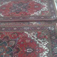 فرش تاجر|فرش|آذرشهر, |دیوار