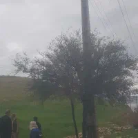 زمین بجای ماشین یاطلا