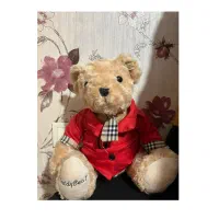 عروسک خرس تدی