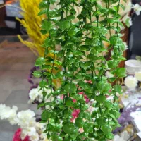 عروسک لبوبو زیر قیمت|اسباب‌‌بازی|تربت جام, شاد|دیوار