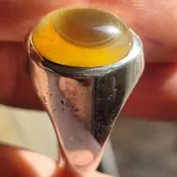 باباقوری زرد فاخر