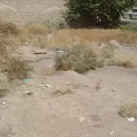 فروش زمین مسکونی