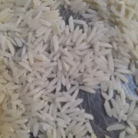 دمسیاه محلی طارم|خوردنی و آشامیدنی|گالیکش, |دیوار
