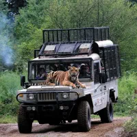 تور شمال الیمالات