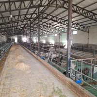 کارگر در دامداری